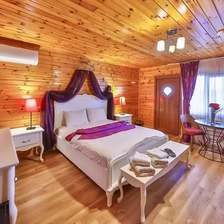 Teras Garden Hotel&bungalow Hotel *